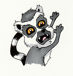 Why Lemur